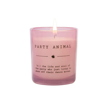 Party Animal Candle Party Animal Candle